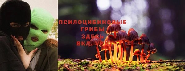 мескалин Новодвинск