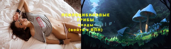 экстази Новозыбков
