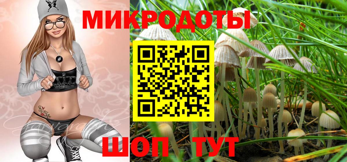 Псилоцибиновые грибы Psilocybine cubensis  Псилоцибиновые грибы мицелий  Благовещенск  Вход с VPN 